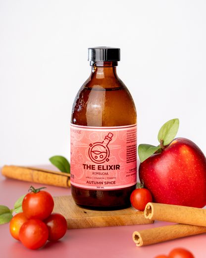 🍃Autumn Spice Kombucha