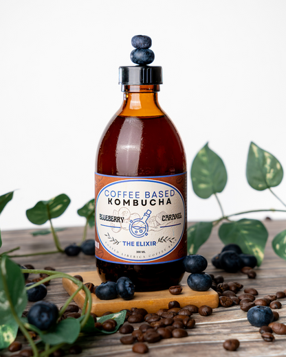 ☕Blueberry & Caramel Coffee Kombucha - LIMITED TIME ONLY