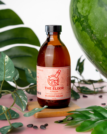 🍃Blushing Melon Kombucha