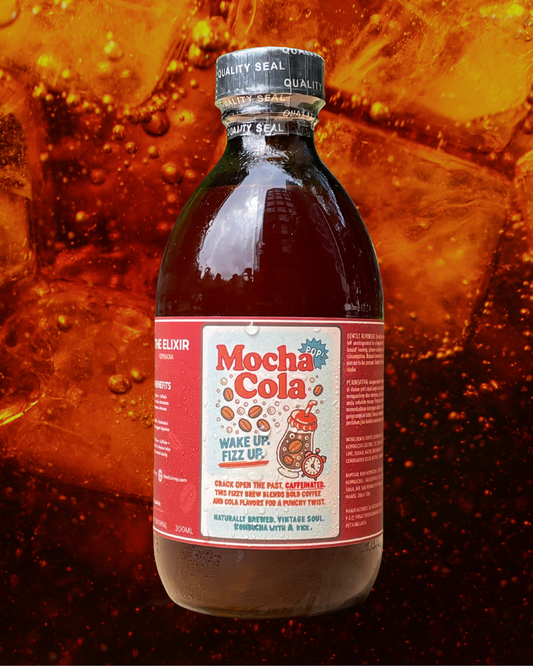 ☕Mocha Cola - Seasonal Coffee Kombucha
