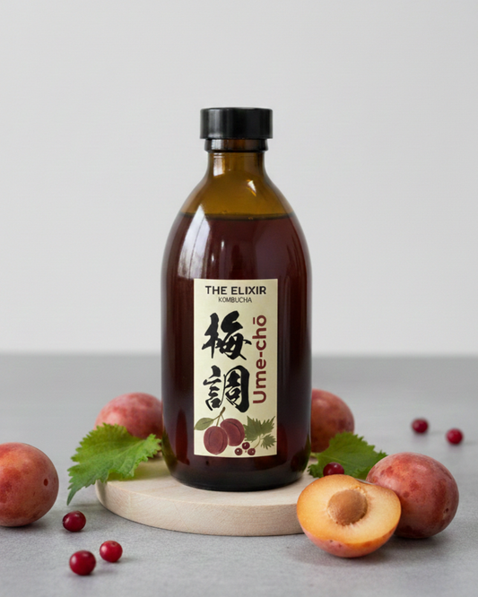 🍃Ume-Chō - Seasonal Tea Kombucha