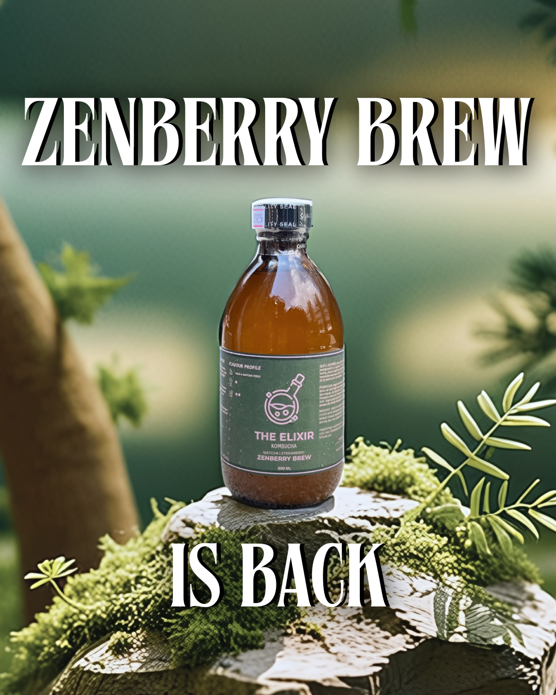🍃Zenberry Brew